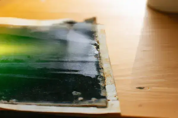 Como Identificar Mofo Ativo Em Fotos Antigas