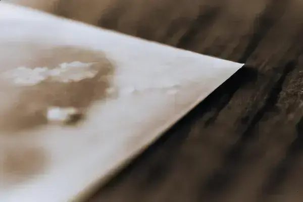 Fungos Invisíveis Como Eles Destroem Fotos Antigas Lentamente