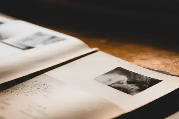 O Que Causa Manchas Amareladas Em Fotos Antigas